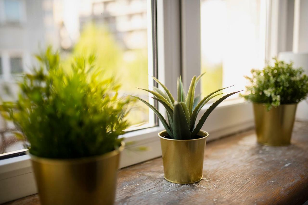 Galeria Apartment Lublin Ngoại thất bức ảnh